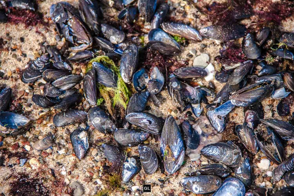 Ostsee 2015 - © Gerald langer