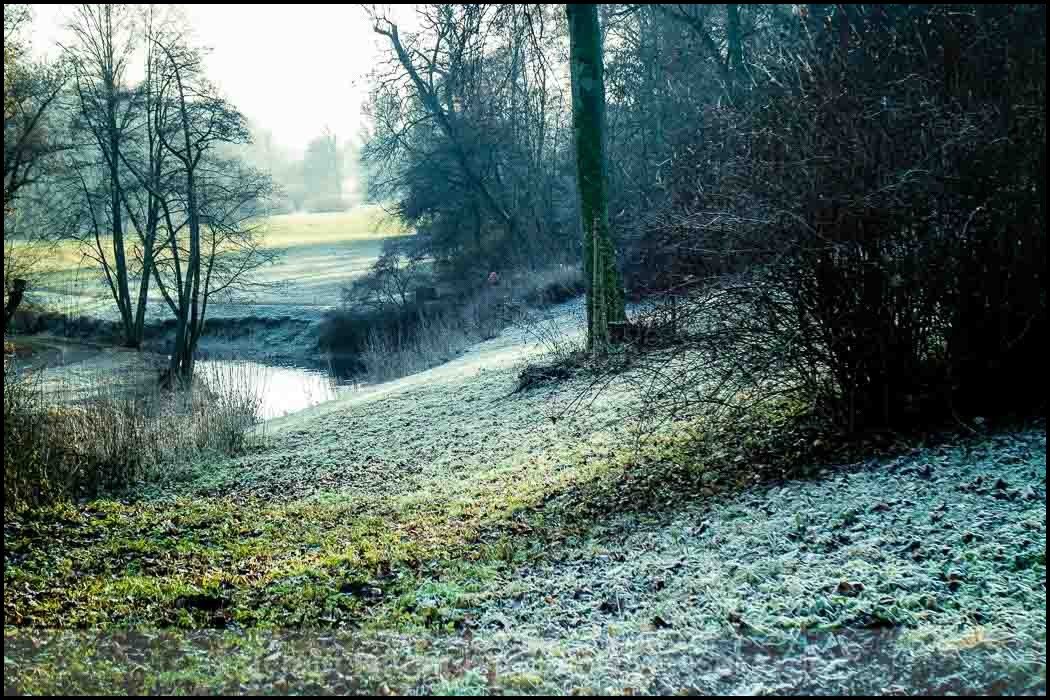 20161217 Weimar © Gerald Langer 109 - Gerald Langer