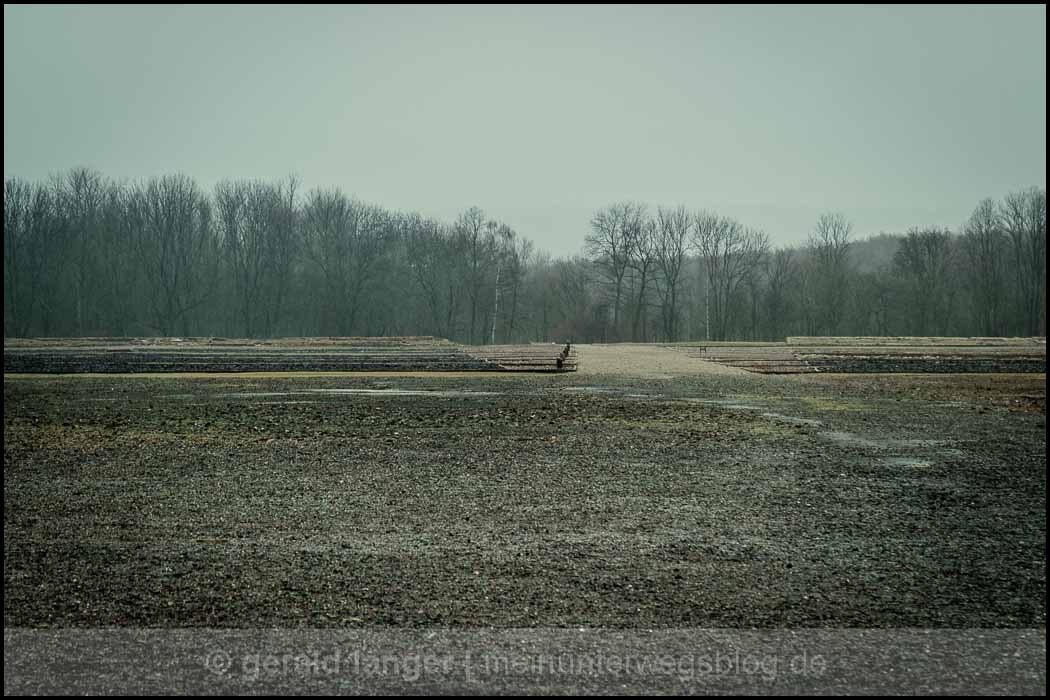 20161218 Buchenwald © Gerald Langer 13 Canon M3 - Gerald Langer