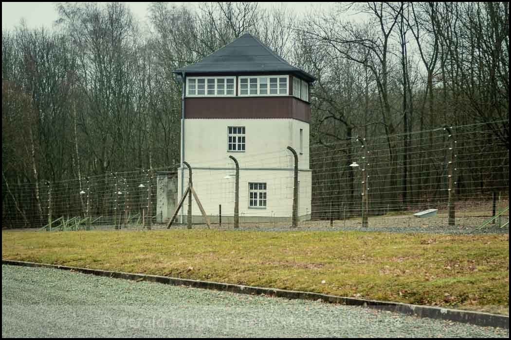 20161218 Buchenwald © Gerald Langer 14 Canon M3 - Gerald Langer