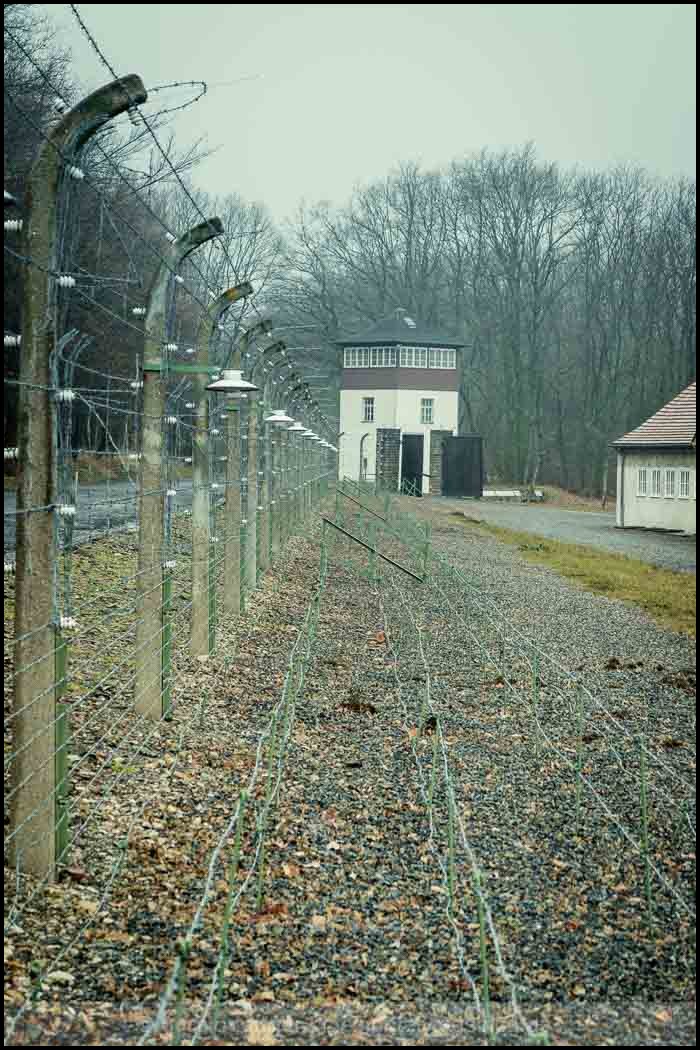 20161218 Buchenwald © Gerald Langer 23 Canon M3 - Gerald Langer