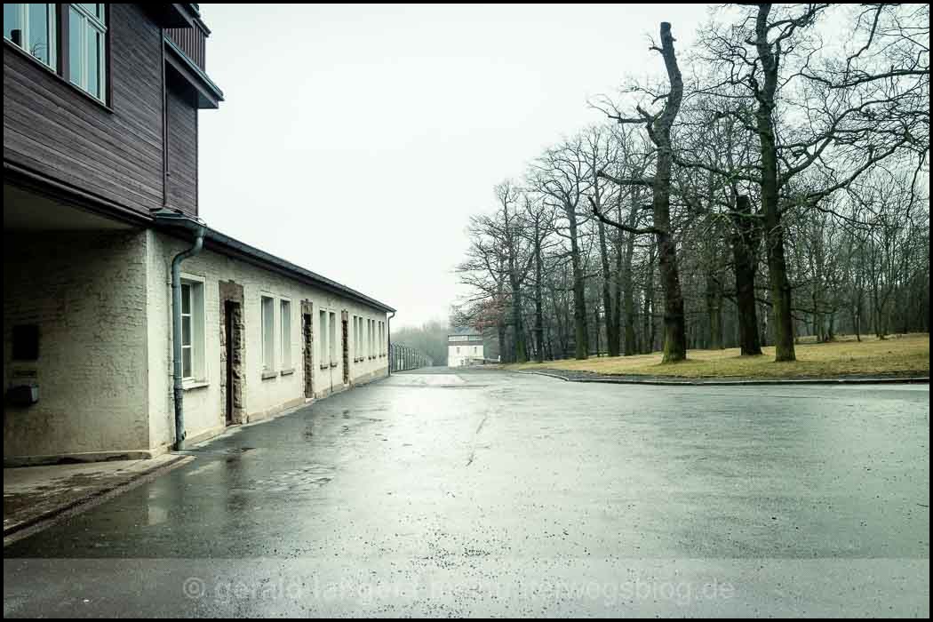 20161218 Buchenwald © Gerald Langer 28 Canon M3 - Gerald Langer