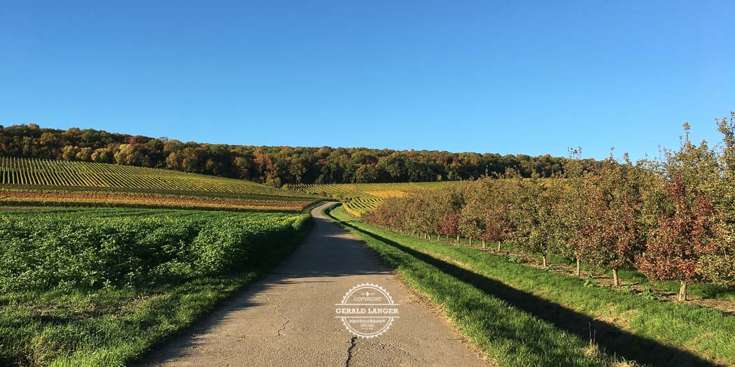 20171014 Markt Eisenheim im Herbst iPhone 6s © Gerald Langer 16 2 - Gerald Langer