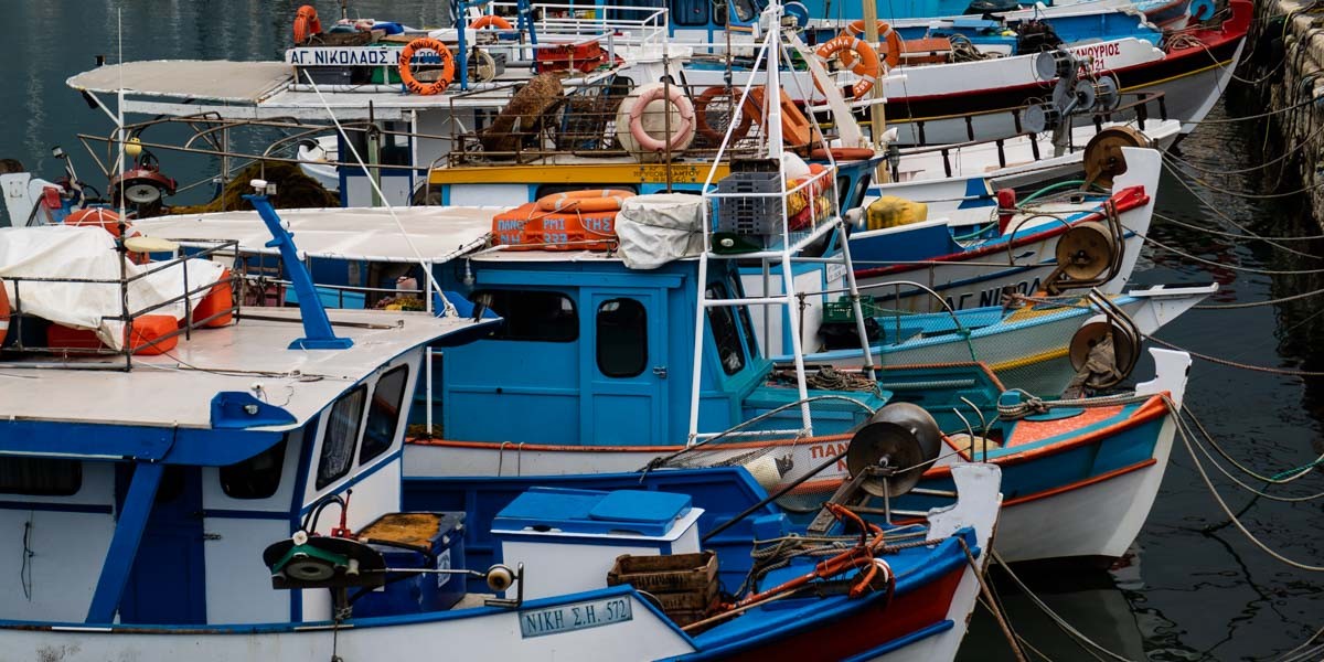 20181117 Kreta © Gerald Langer 243 1 - Gerald Langer