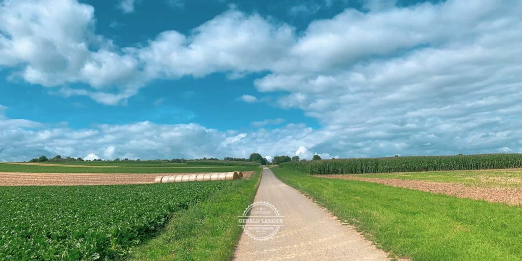 20190813_Mit-dem-Rad-von-Kuernach-nach-Wuerzburg-©-Gerald-Langer_3-1