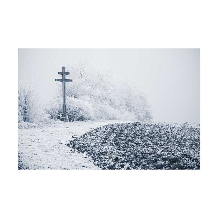 20200102_Kuernach-im-Winter-©-Gerald-Langer_25