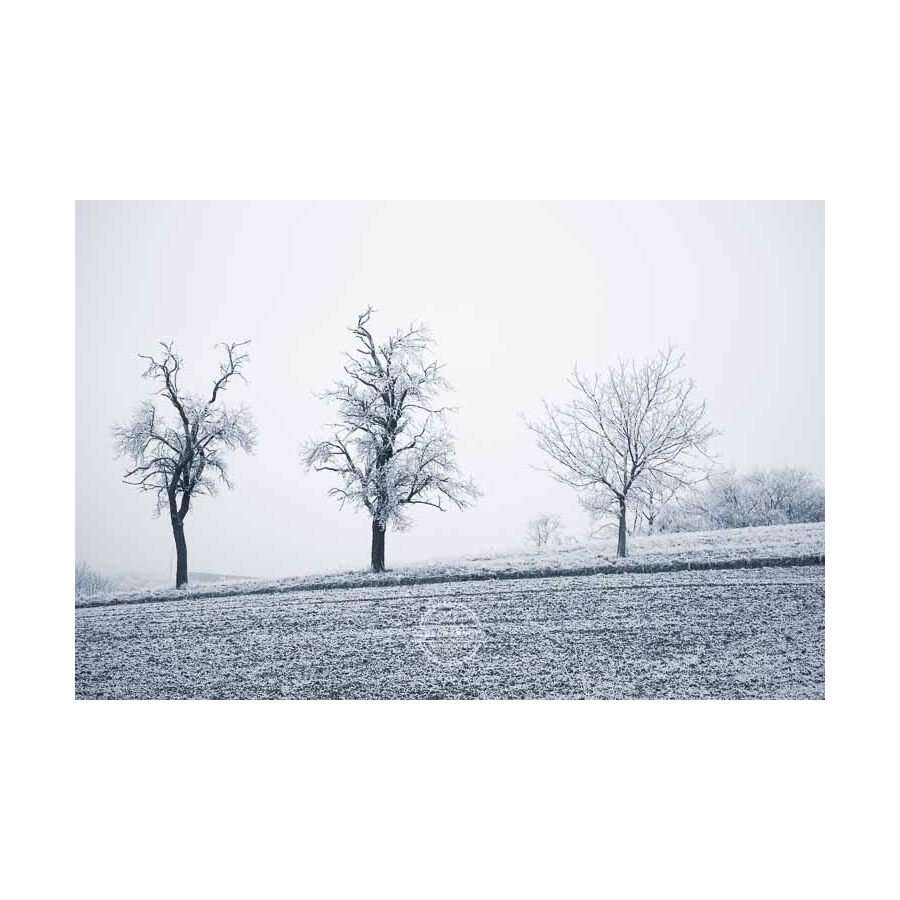 20200102_Kuernach-im-Winter-©-Gerald-Langer_41