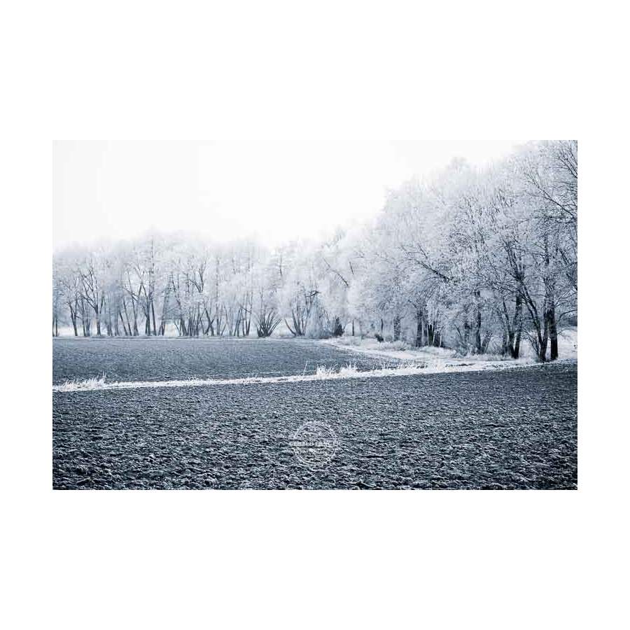20200102_Kuernach-im-Winter-©-Gerald-Langer_49