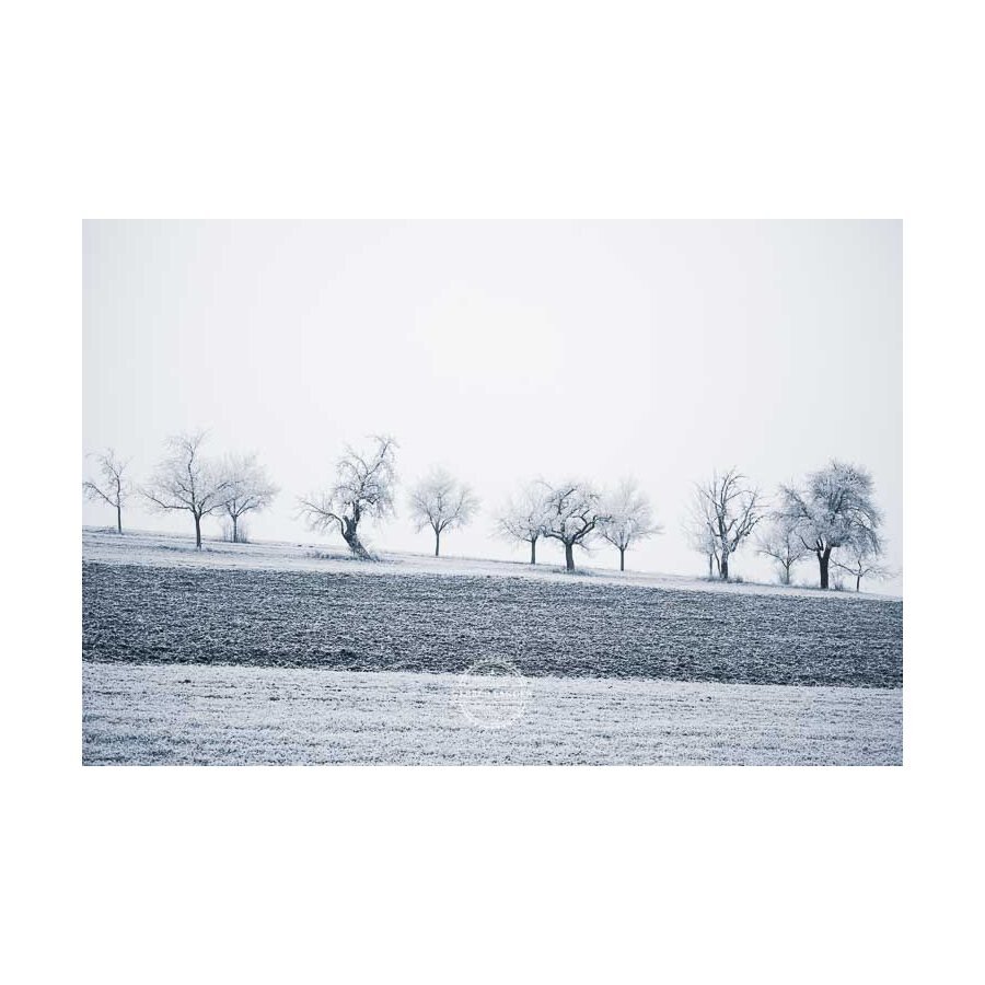 20200102_Kuernach-im-Winter-©-Gerald-Langer_65