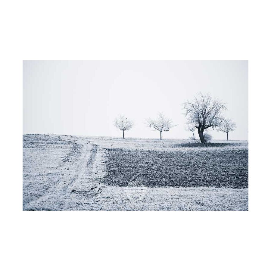 20200102_Kuernach-im-Winter-©-Gerald-Langer_67
