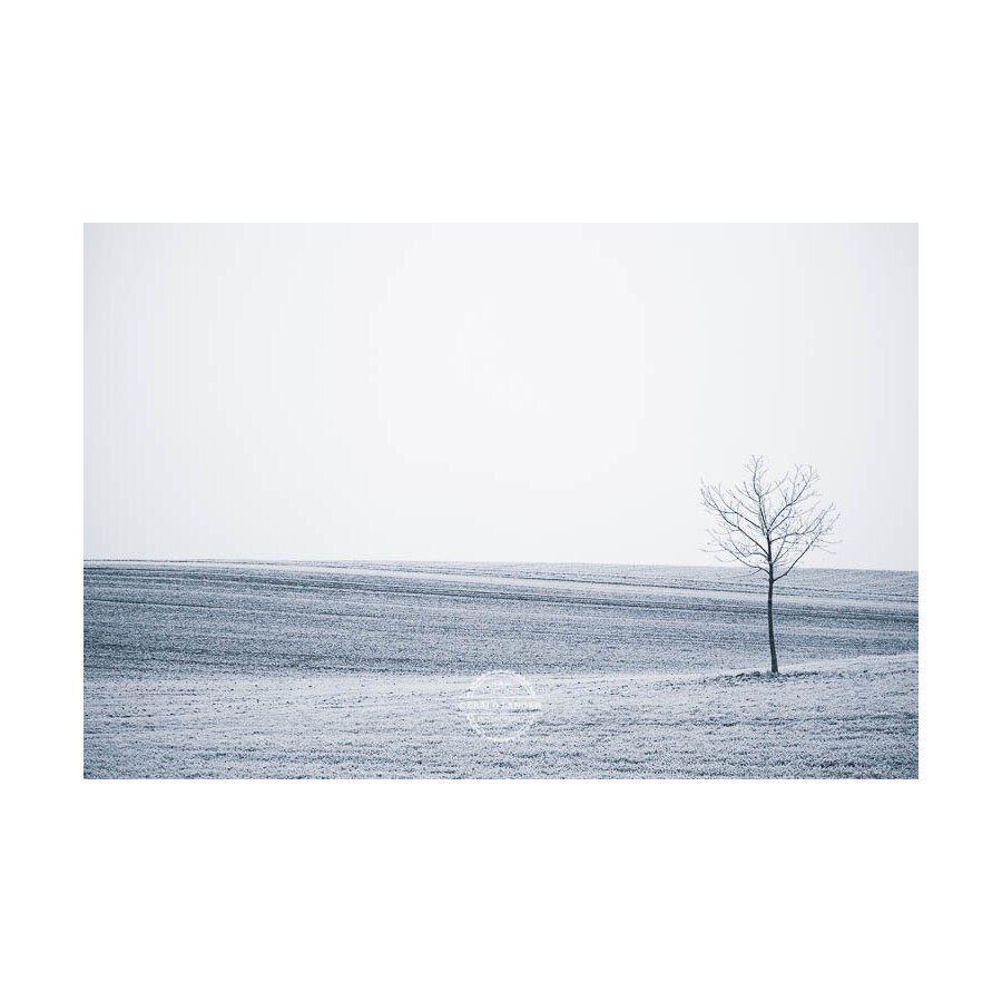 20200102_Kuernach-im-Winter-©-Gerald-Langer_72