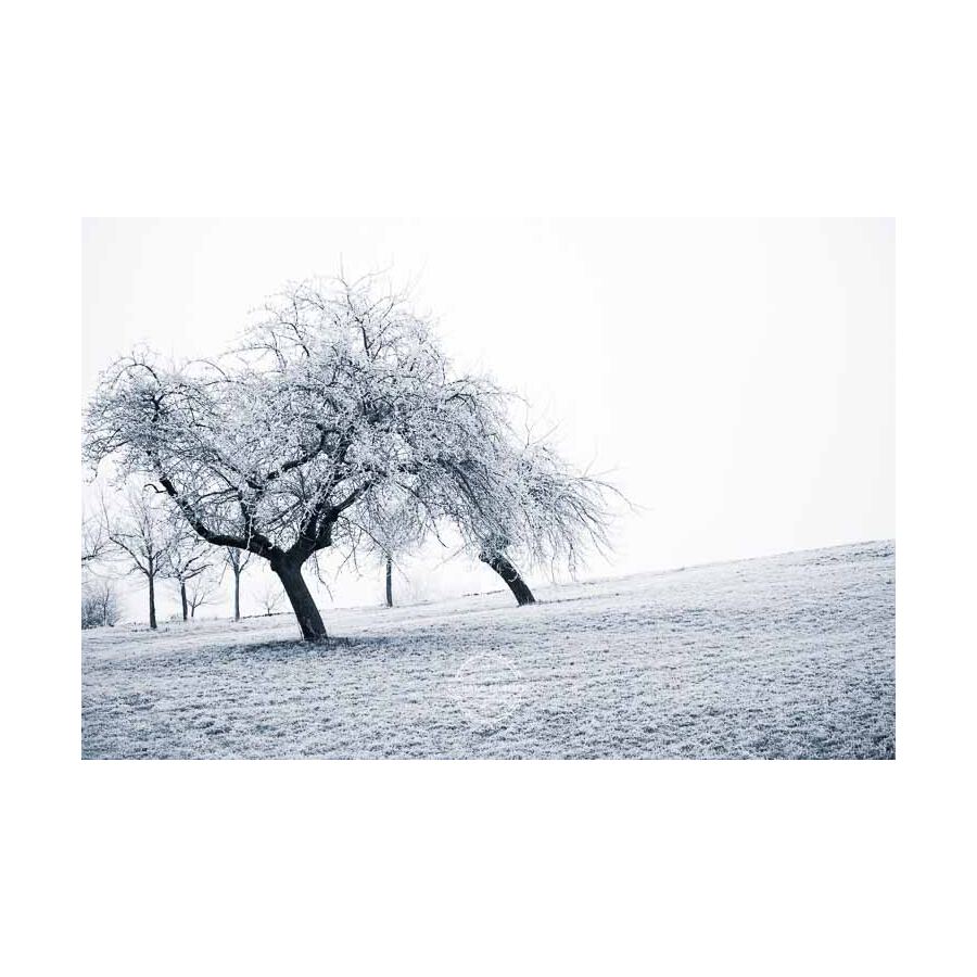 20200102_Kuernach-im-Winter-©-Gerald-Langer_79