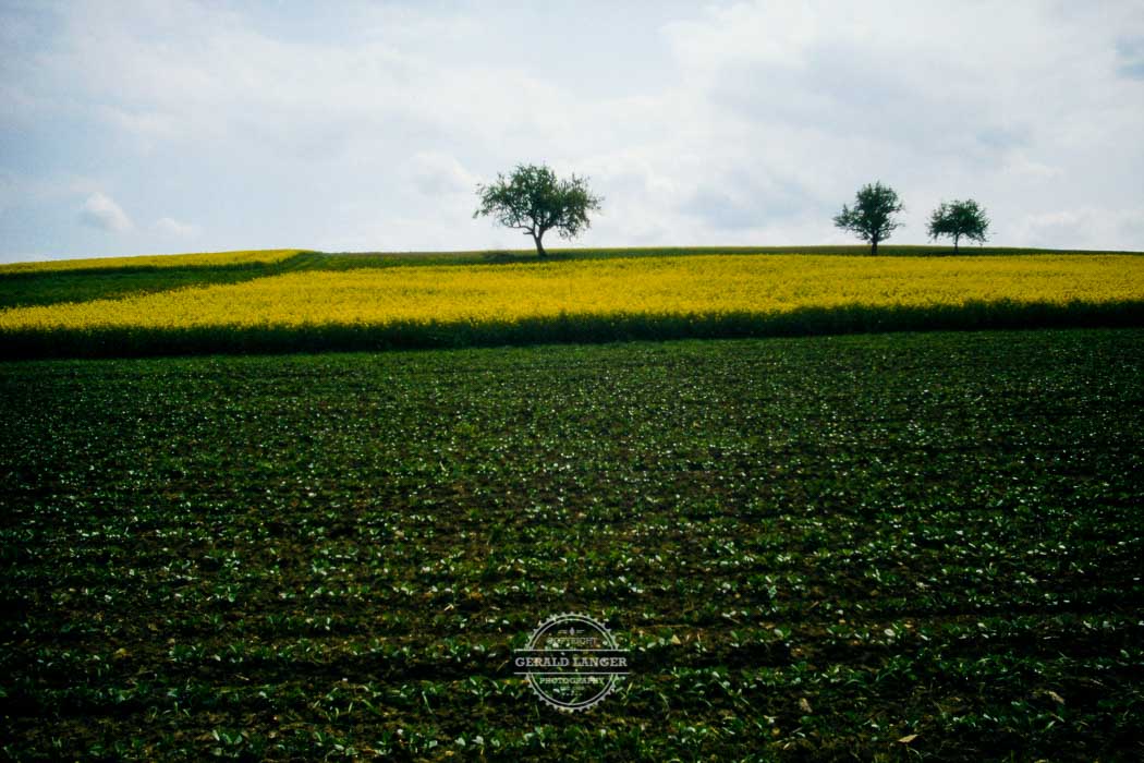 198XXX Landschaft Landwirtschaft Unterfranken © Gerald Langer 28 - Gerald Langer