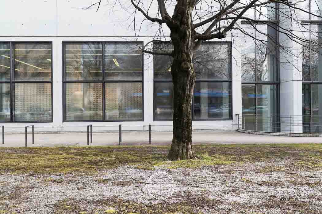 20180213 Muenchen Pinakothek der Moderne © Gerald Langer 13 - Gerald Langer