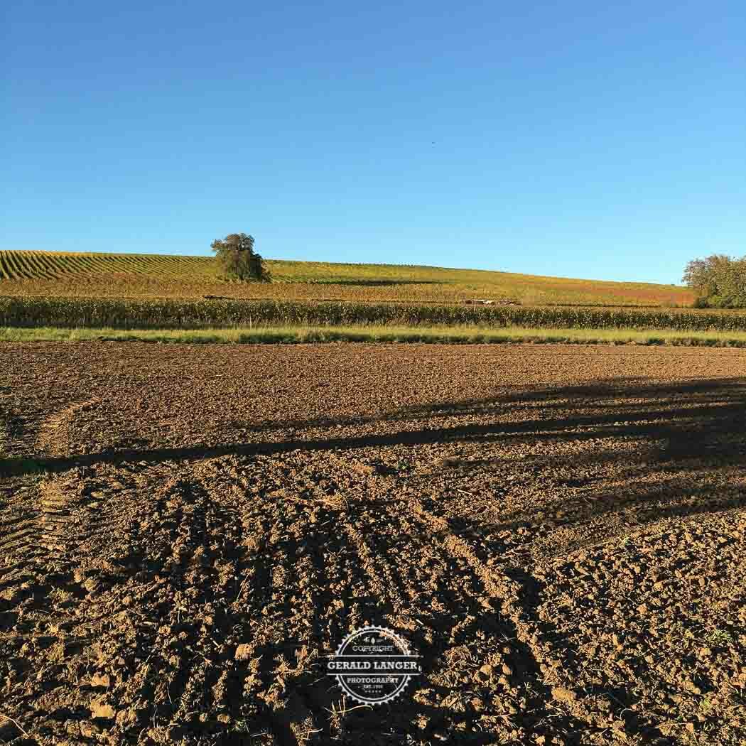 20171014 Markt Eisenheim im Herbst iPhone 6s © Gerald Langer 38 - Gerald Langer