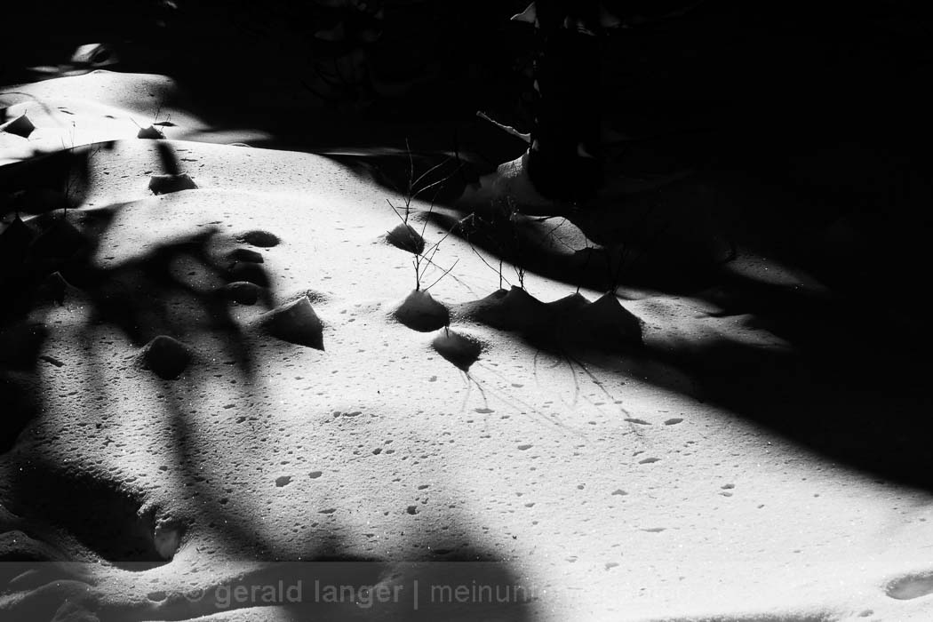 20170121 Oberhof © Gerald Langer 19 Canon M3 - Gerald Langer
