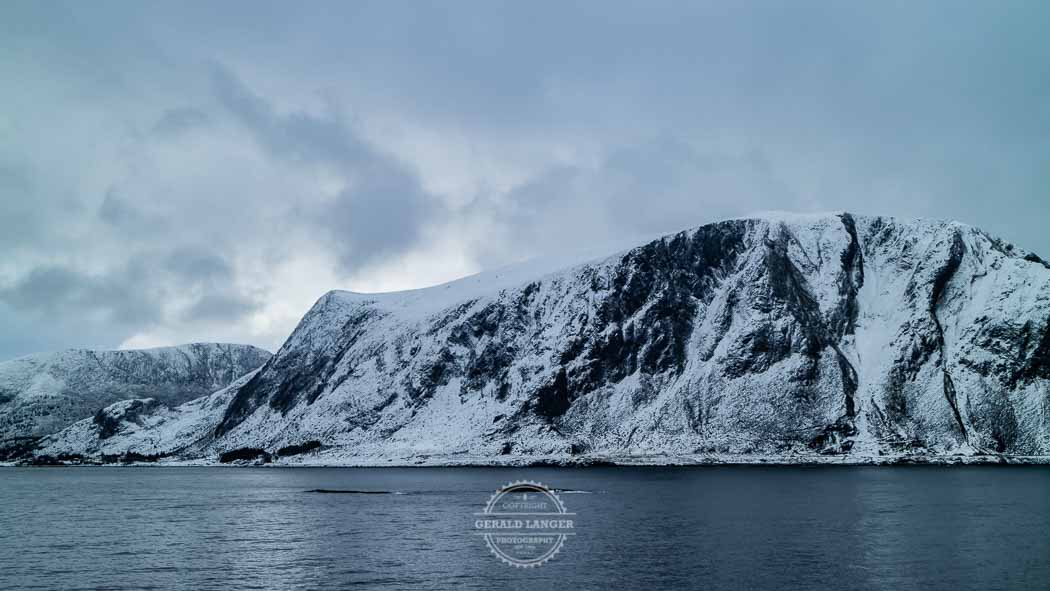 20220402 Hurtigruten Norwegen © Gerald Langer 166 - Gerald Langer