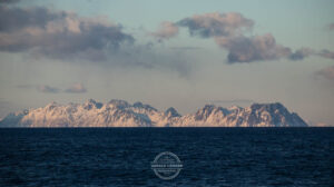 20220404 Hurtigruten Norwegen © Gerald Langer 1163 - Gerald Langer