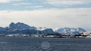 20220404 Hurtigruten Norwegen © Gerald Langer 913 - Gerald Langer