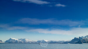 20220404 Hurtigruten Norwegen © Gerald Langer 943 - Gerald Langer