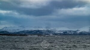 20220411 Hurtigruten Norwegen © Gerald Langer 4121 - Gerald Langer