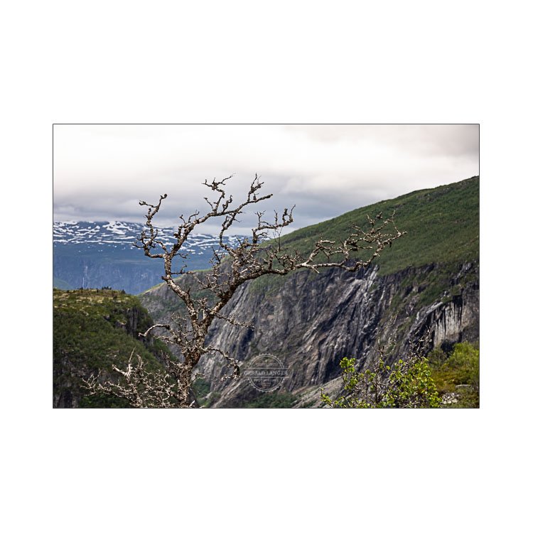 20230619 Geilo Voringsfossen Wasserfall Bergen © Gerald Langer 056 - Gerald Langer