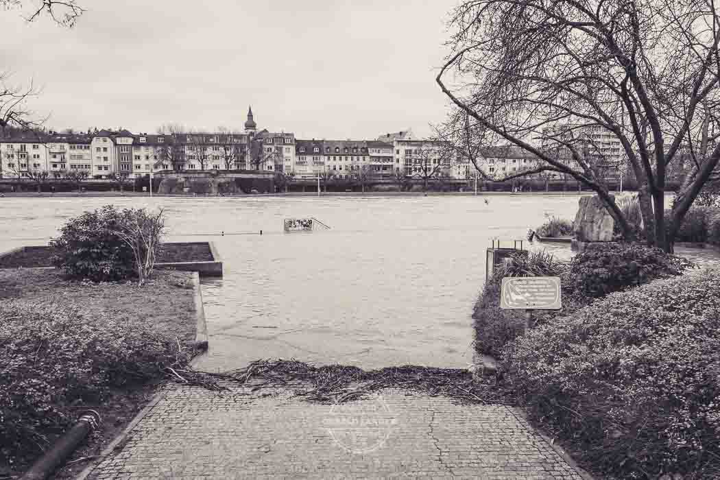 20240107 Wuerzburg Hochwasser © Gerald Langer 12 - Gerald Langer