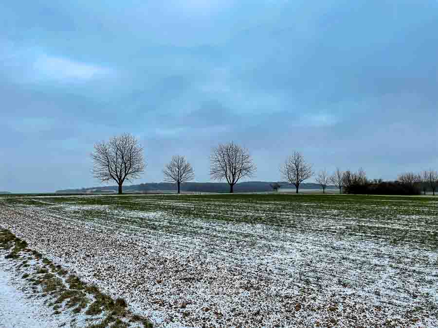 20240113 Kuernach Landschaft © Gerald Langer 9 - Gerald Langer
