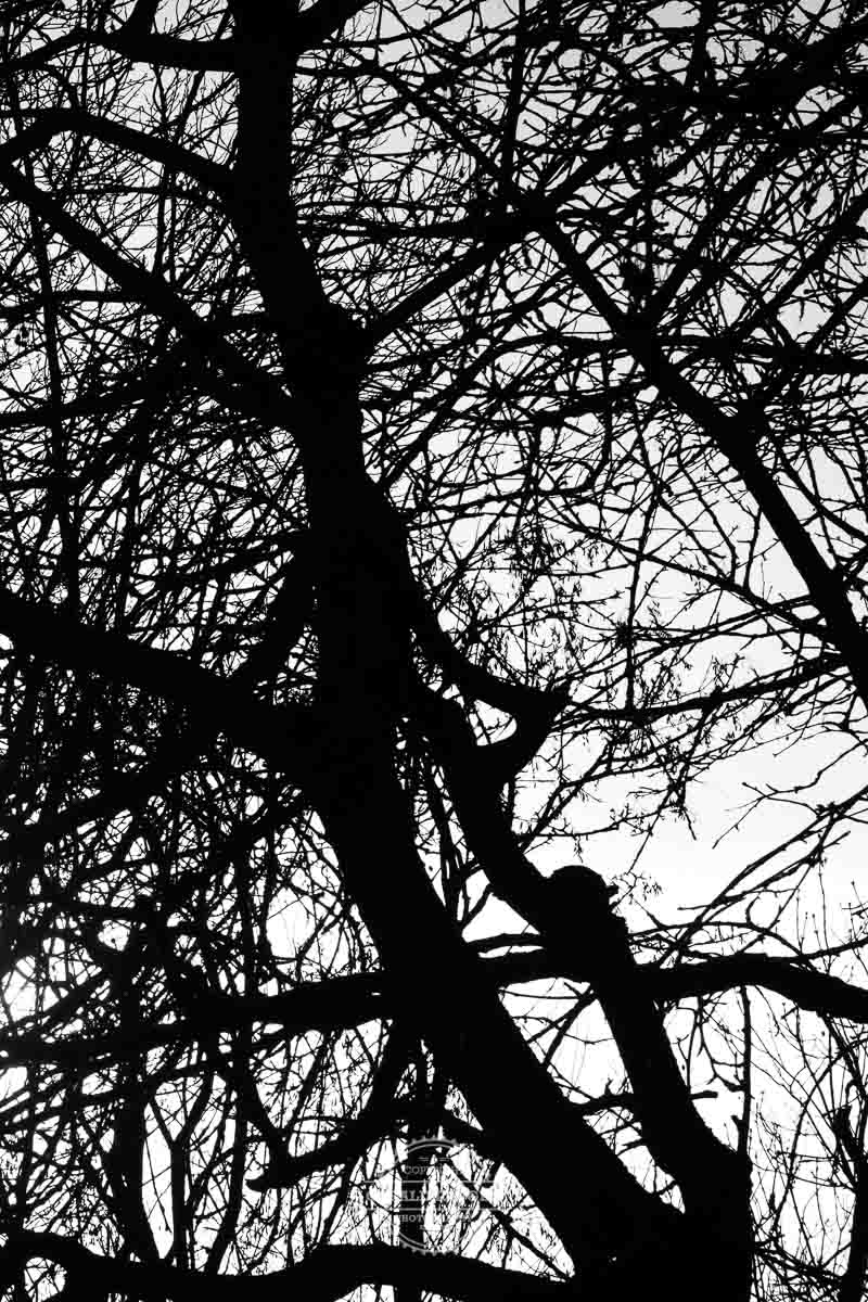 tagebuch 14.01.2024