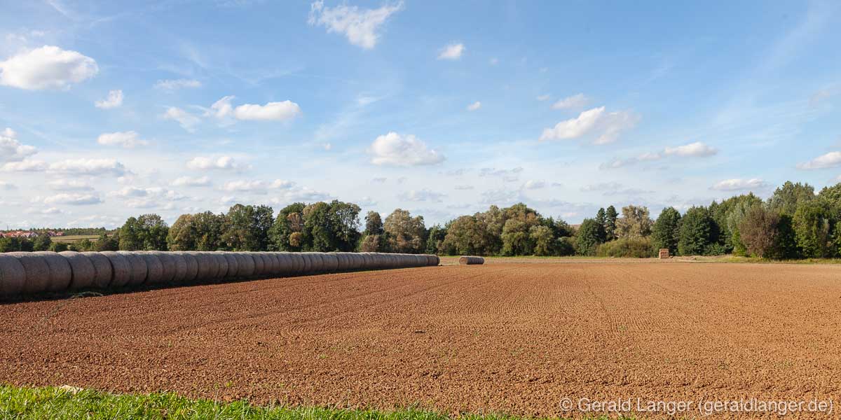 20110910 Mais Kuernach © Gerald Langer 1 1 - Gerald Langer