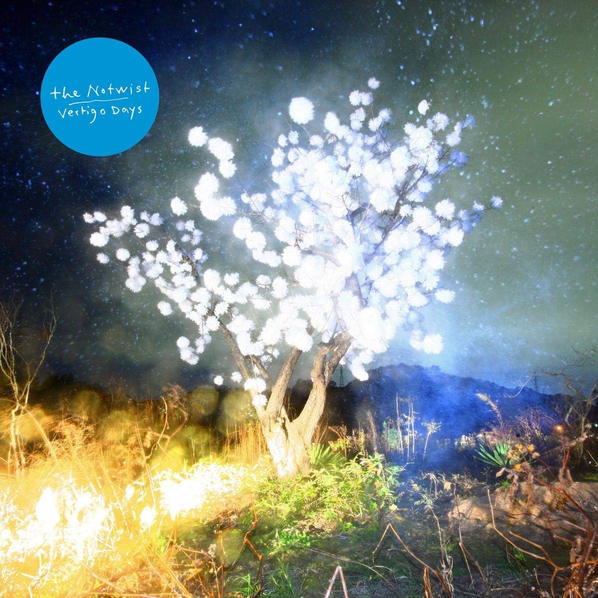 © The Notwist - Vertigo Days - Coverbild von Shiga Lieko © The Notwist Vertigo Days Coverbild von Shiga Lieko - Gerald Langer