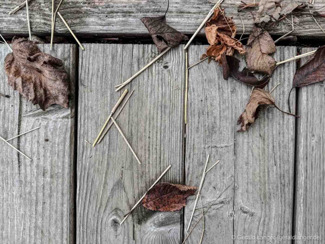 tagebuch